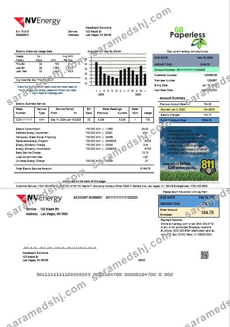 USA Nevada NV Energy business utility bill template in Word and PDF formats